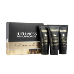 WELLNESS PREMIUM PRODUCTS Wellplex mini zestaw (szampon 50ml, odżywka 50ml, maska 50ml)